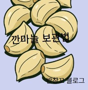 깐마늘 보관법