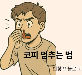 코피 멈추는 법