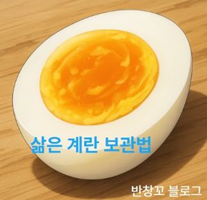 삶은 계란 보관법