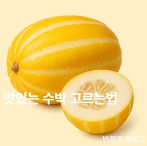 맛있는 참외 고르는법