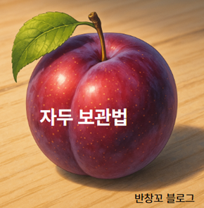 자두 보관법