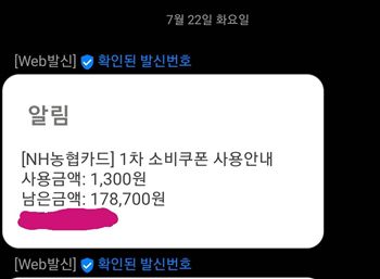 민생회복 소비쿠폰 삼성페이