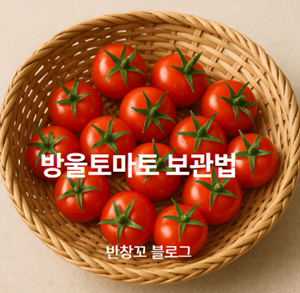 방울토마토 보관법