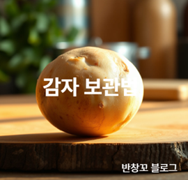 감자 보관법