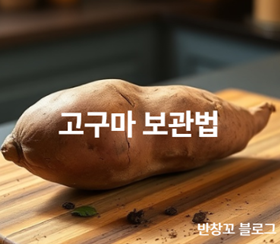 고구마 보관법