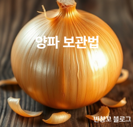 양파 보관법